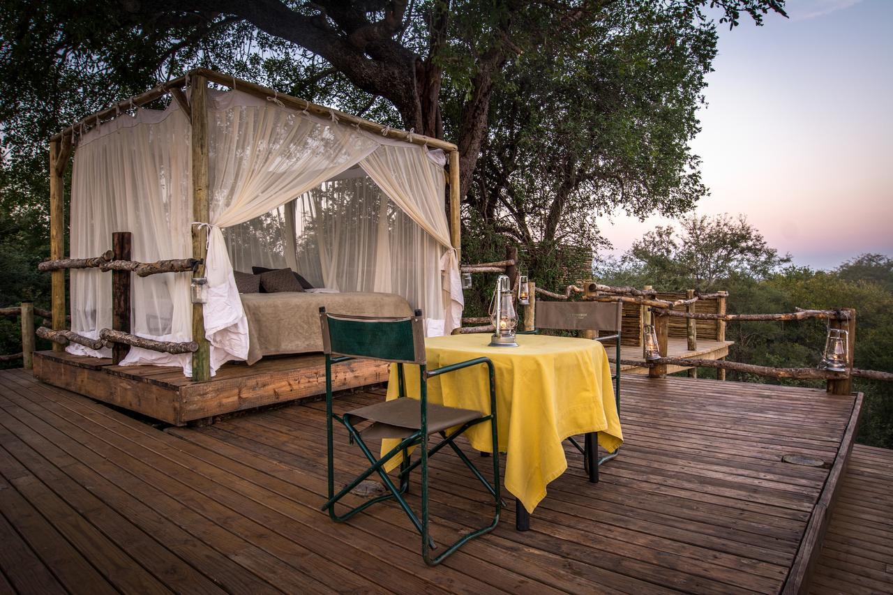 הוילה Makalali Game Reserve Garonga Safari מראה חיצוני תמונה