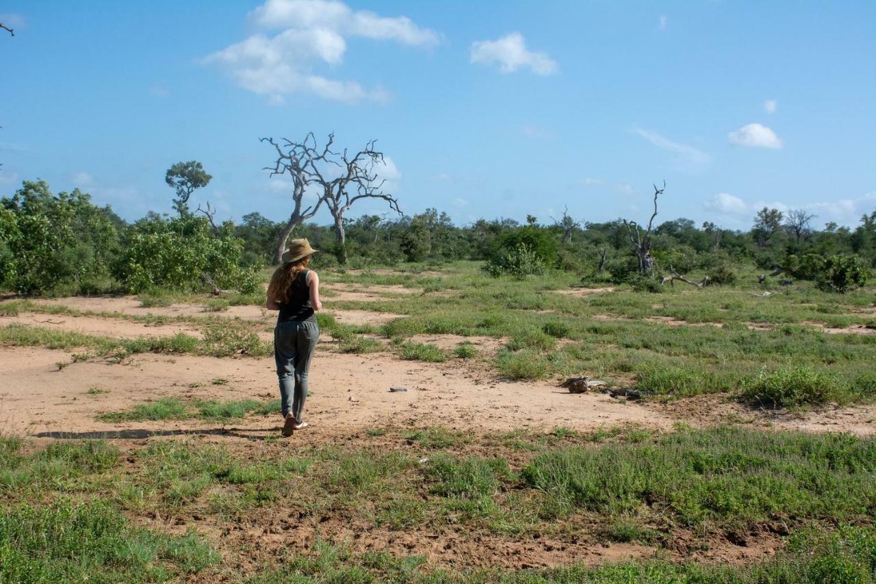 הוילה Makalali Game Reserve Garonga Safari מראה חיצוני תמונה